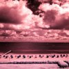 Föhr - Strand 1